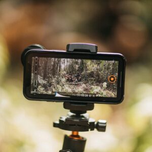 Smartphone mounted on tripod capturing nature. Ideal for vlogging and travel videos.