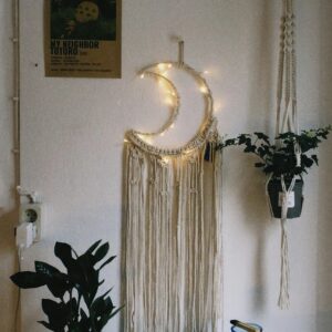 A serene indoor scene featuring plants, a moon-shaped macrame, and decor elements in a room.