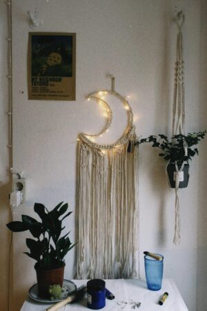 A serene indoor scene featuring plants, a moon-shaped macrame, and decor elements in a room.