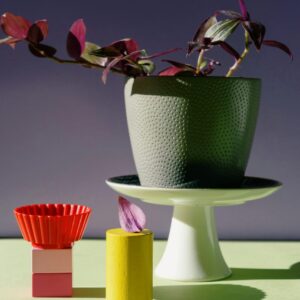 Vibrant modern still life with purple foliage in a pot and geometric shapes.