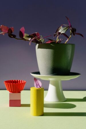 Vibrant modern still life with purple foliage in a pot and geometric shapes.