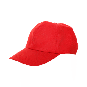 Mens cap